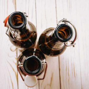 Mugwort-Cranberry Beer Recipe Image